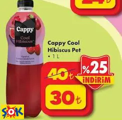 CAPPY COOL HİBİSCUS PET 1 L CAPPY COOL HİBİSCUS PET 1 L